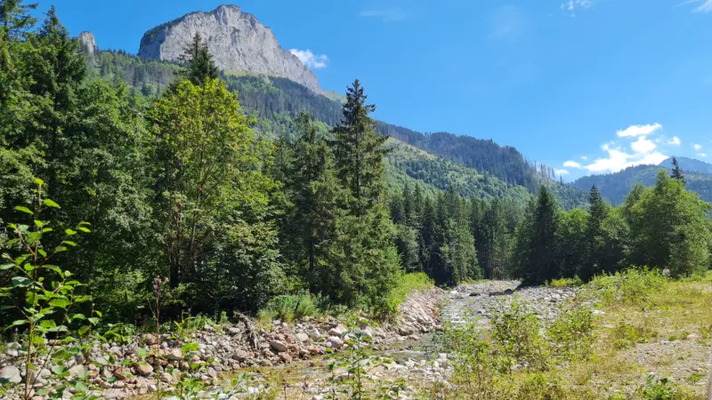 Tatry Niskie - Panorama 🏔️